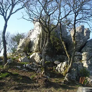 Le Rocher Du Samoyède Maison d'hôtes